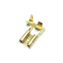 Terminal hembra bandera 6,3 mm, bolsa 100 uds
