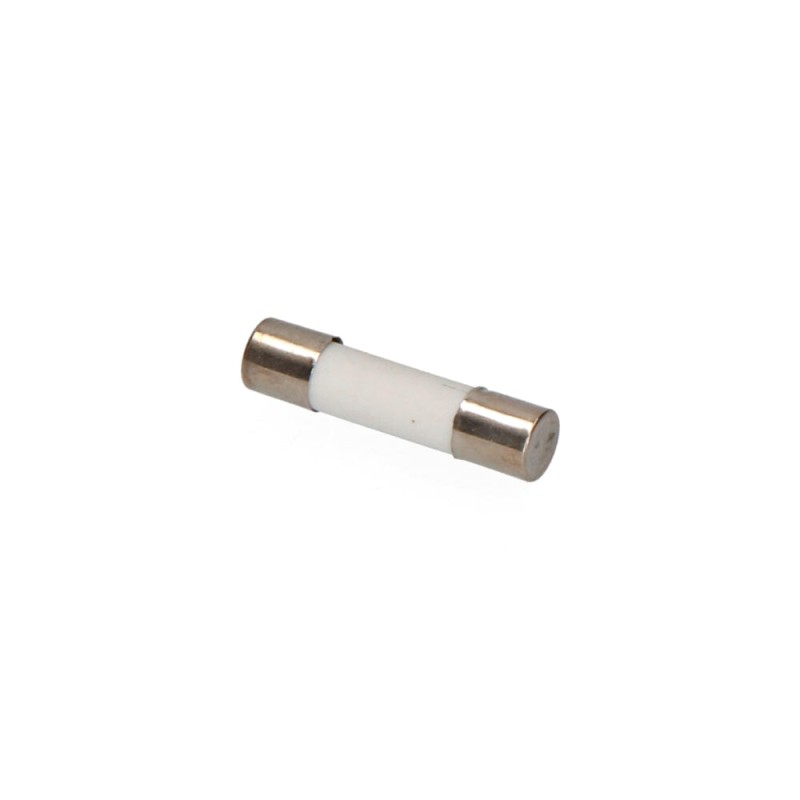 Fusible mt1 10 a 14 x 51 mm