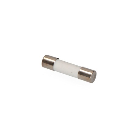 Fusible mt1 10 a 14 x 51 mm
