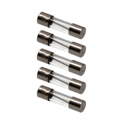 Fusible 5 x 20 mm 10 a, envasado 5 uds