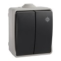 Doble conmutador estanco 10 ax 250v~. ip54