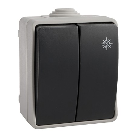 Doble conmutador estanco 10 ax 250v~. ip54