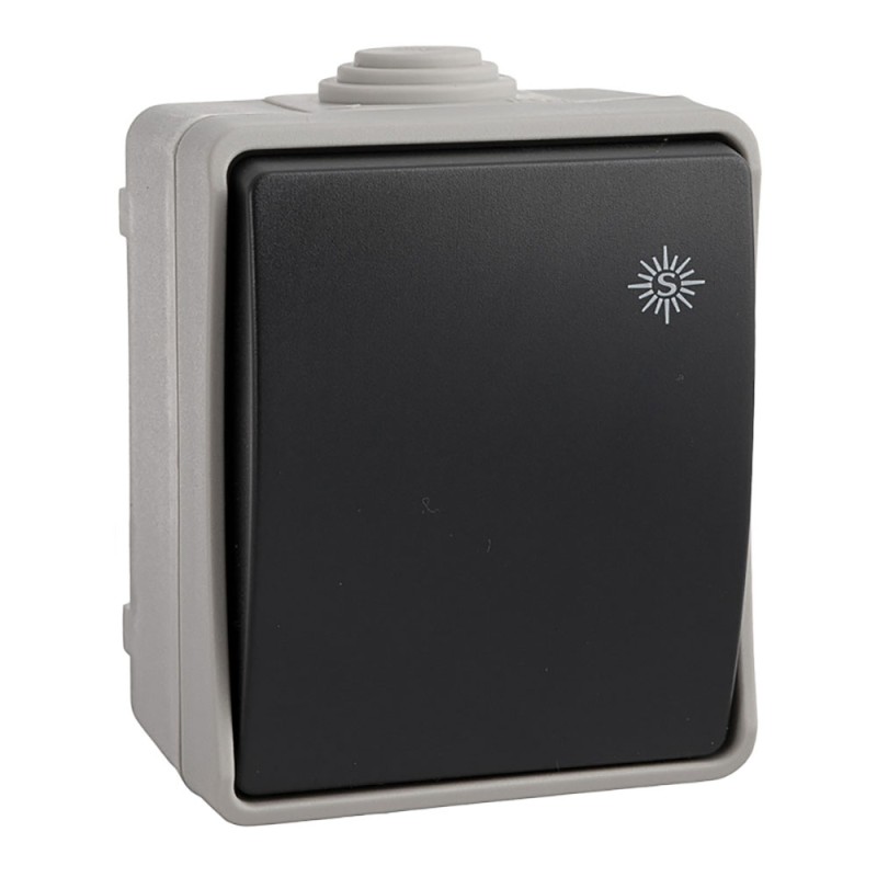 Interruptor bipolar 10 a 250 v m/20 solera (retractilado)