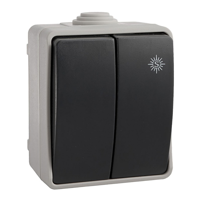 Doble conmutador estanco 10 ax 250v~. ip54 (retractilado)